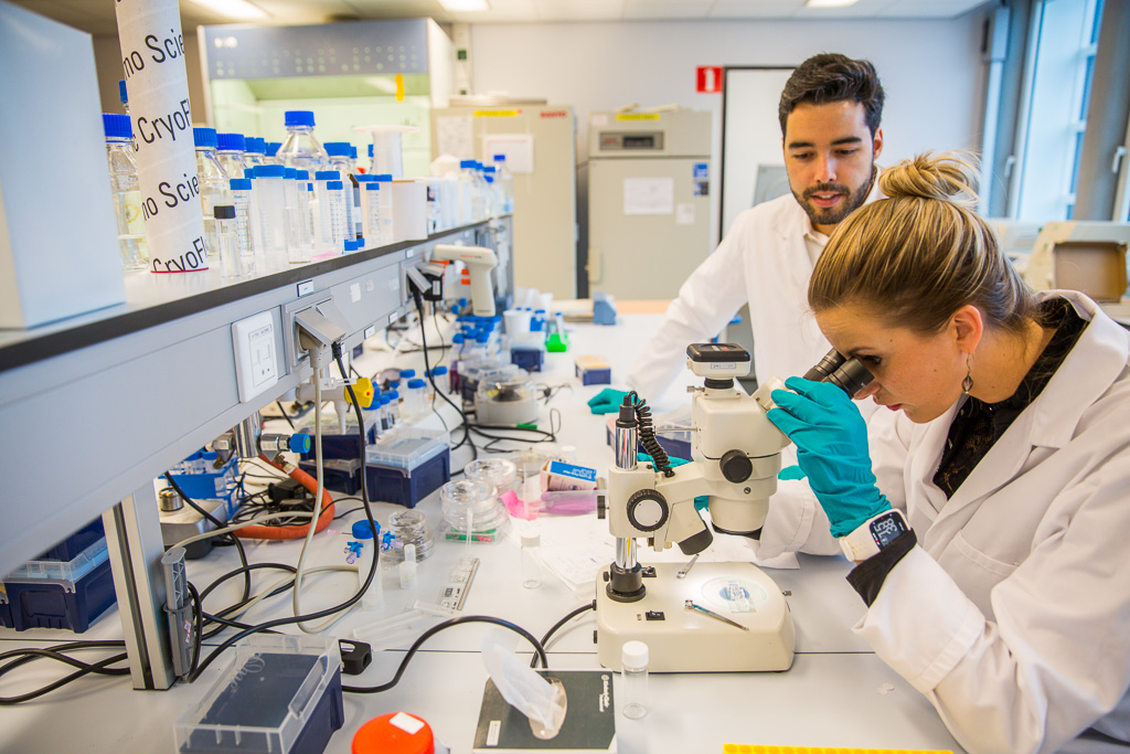 Delft University of Technology institution image