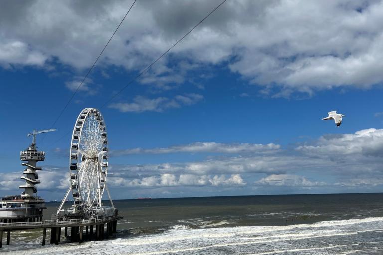 Coastline with ferris wheel and bird flying by